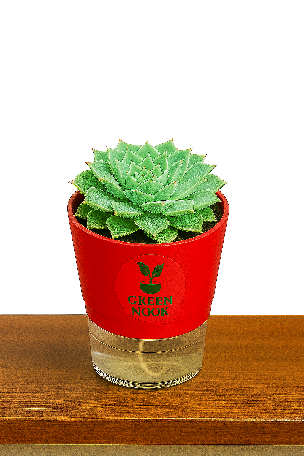 original Lakshmi Kamal indoor plant with self watering pot vasthu plant.