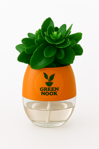 Bear Paw Kalanchoe Succulent Crassula natural live indoor plant with self watering pot.