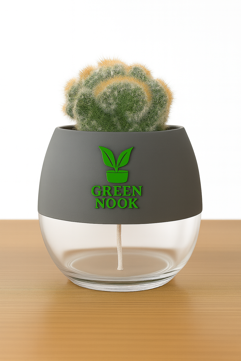 Cactus plants live air  purifying indoor plant with self watering pot