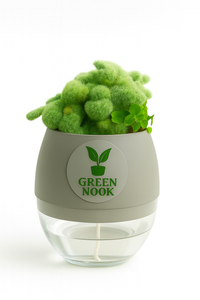Cactus plants live air  purifying indoor plant with self watering pot