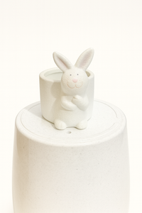 Ceramic Pot for indoor plants.