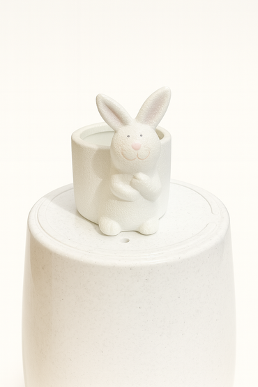 Ceramic Pot for indoor plants.