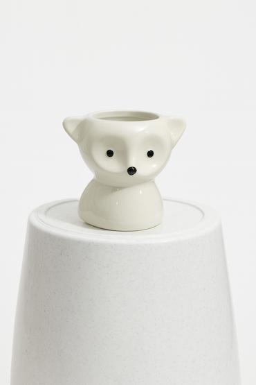 Ceramic Pot for indoor plants.