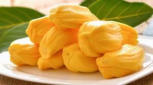 Hybrid Type Jack Fruits Plants-1 to 2 feet