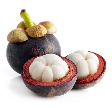 mangosteen plant 2 to 3 feet lowest price Guaranteed.